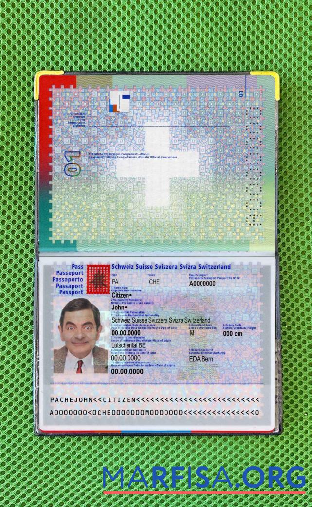 Blank Switzerland passport photo look download for verification